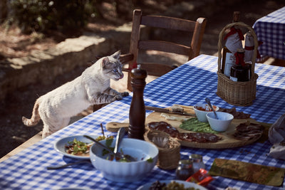 Quels sont les aliments toxiques pour les chats ?