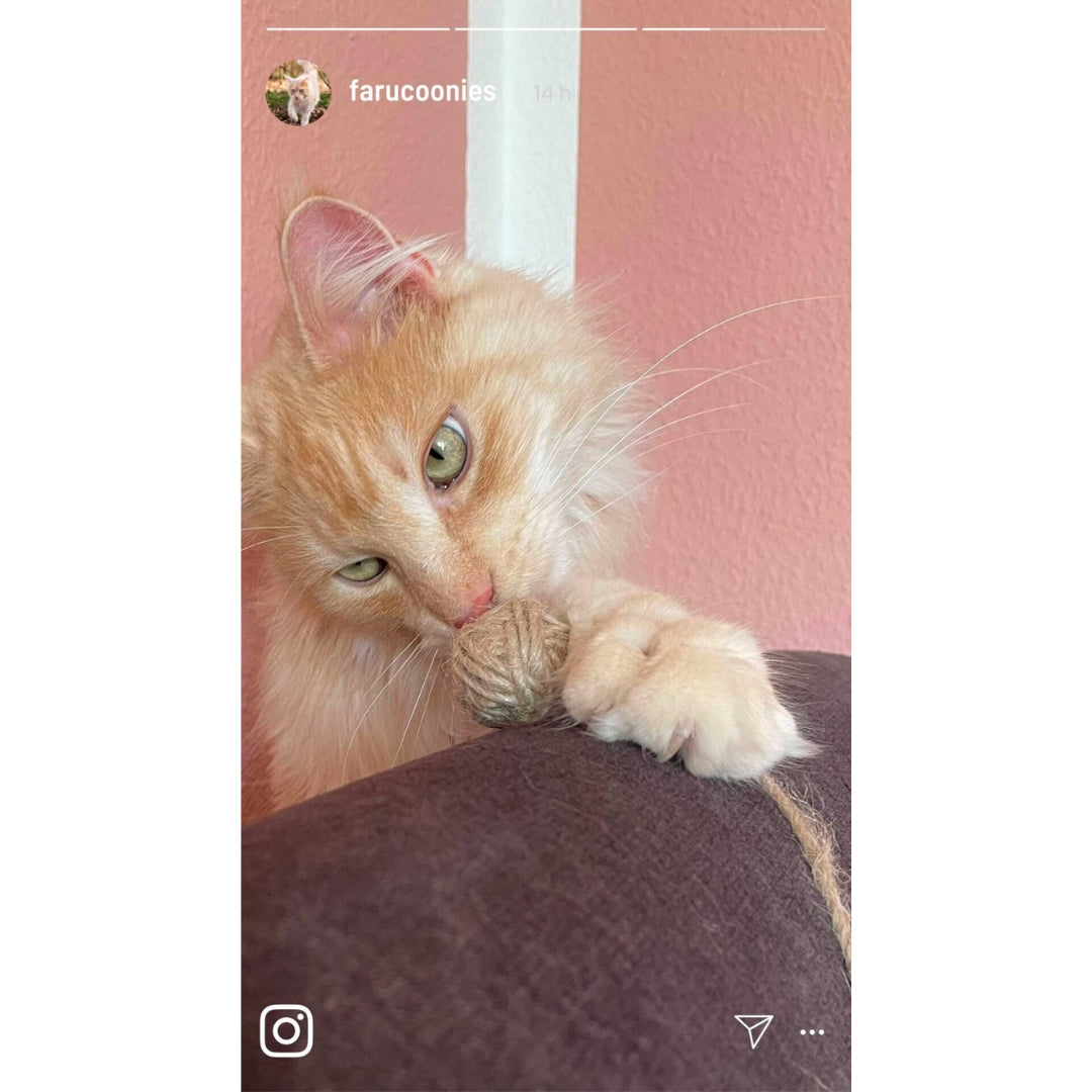 Balle corde avec grelot Kater Kasimir