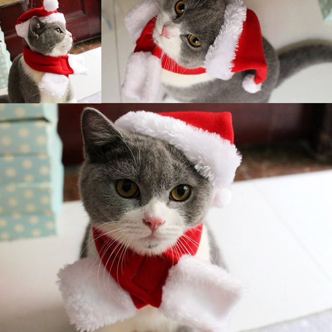 Déguisement Chat-Noël