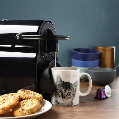 Miau-Kätzchen-Tasse