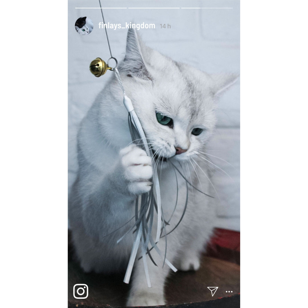 Canne à pêche artisanale Kater Kasimir gris