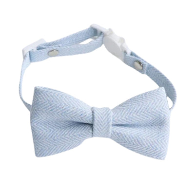 Noeud papillon bleu clair