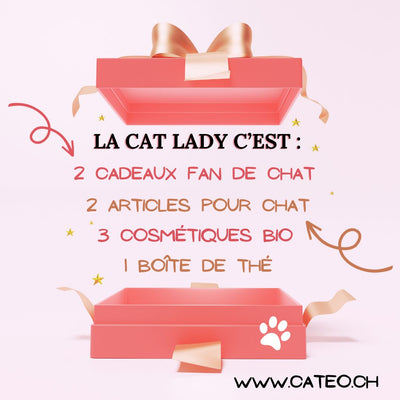 Cat'Lady Box Nr. 1