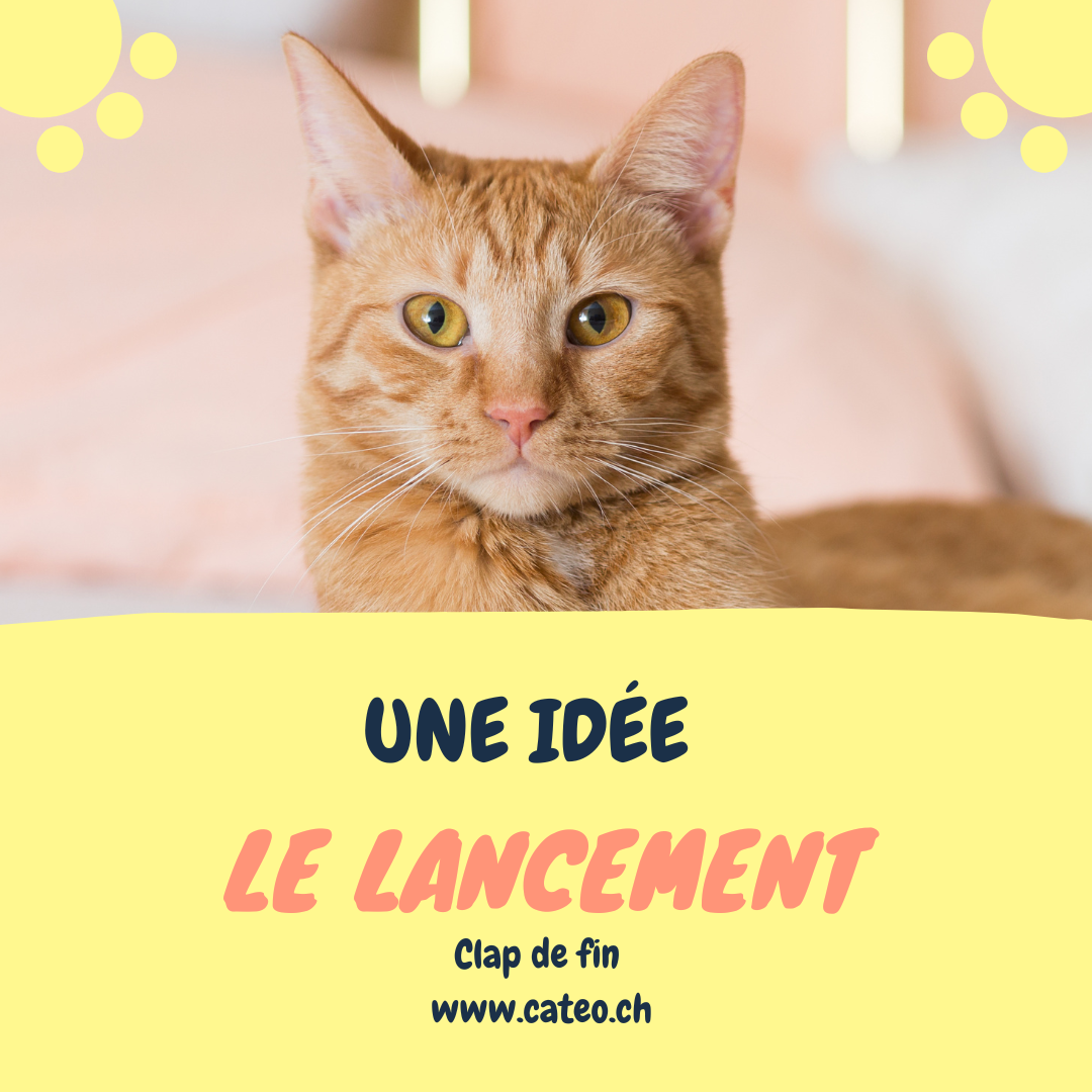 Une idée, le lancement