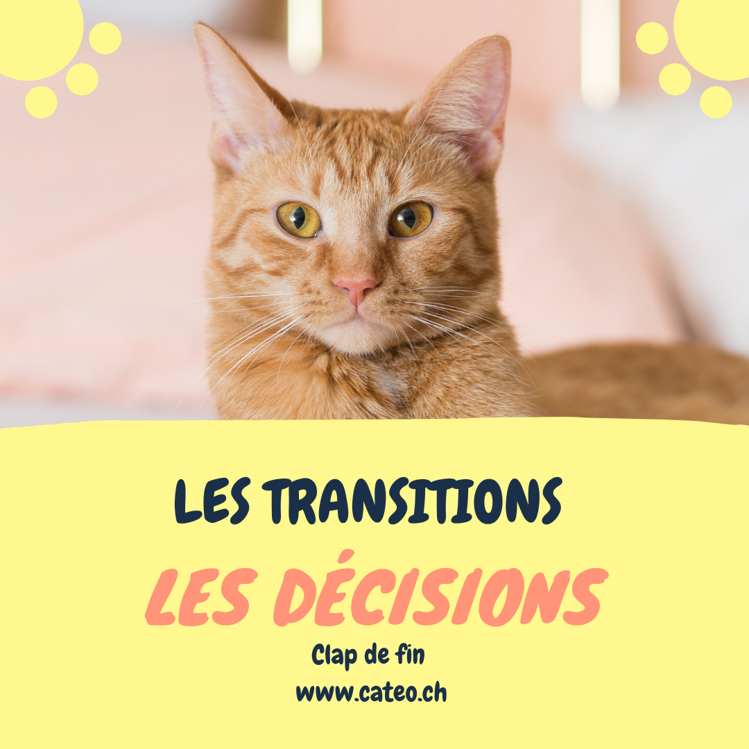 Les transitions, les décisions