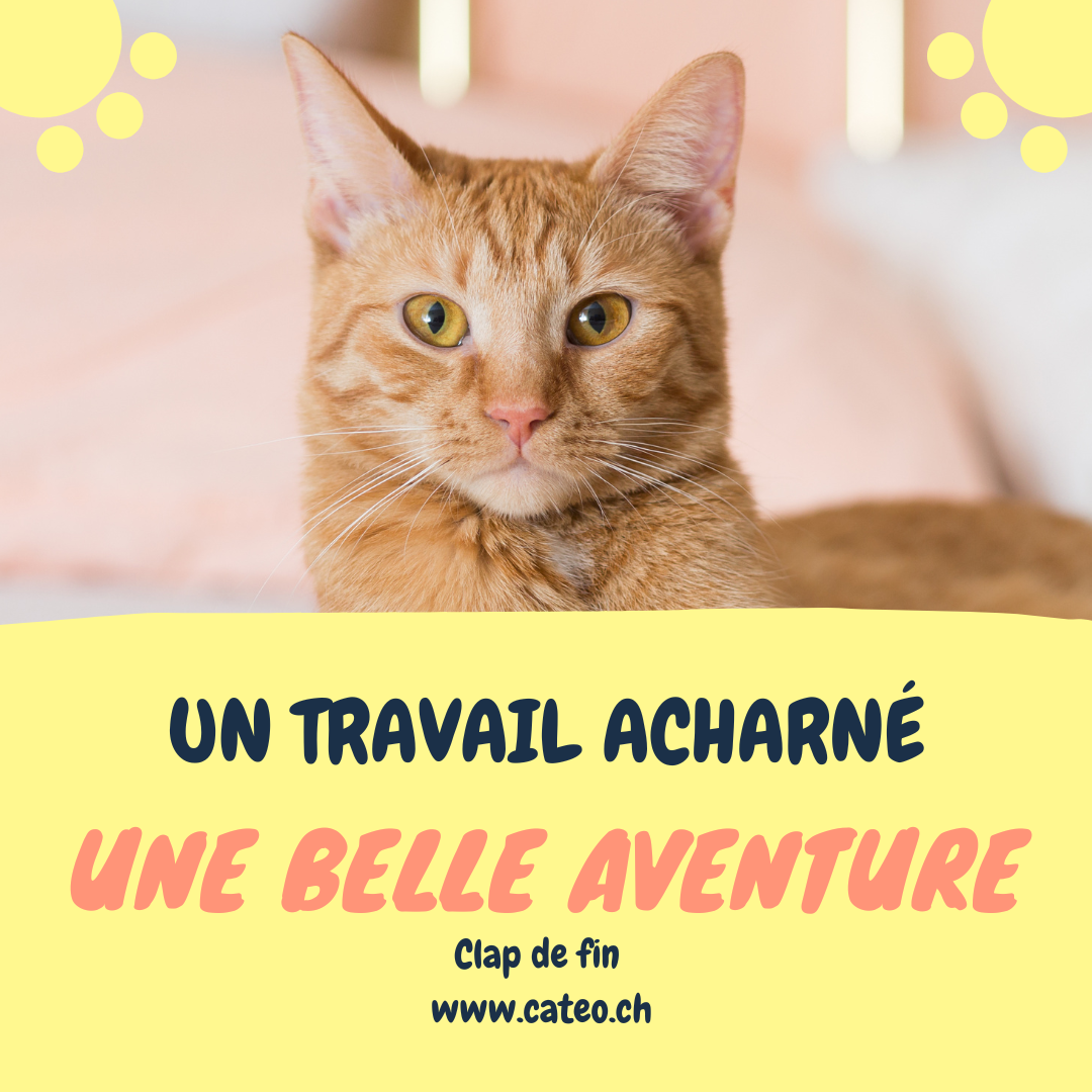 Un travail acharné, une belle aventure