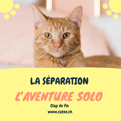 La séparation, l'aventure solo