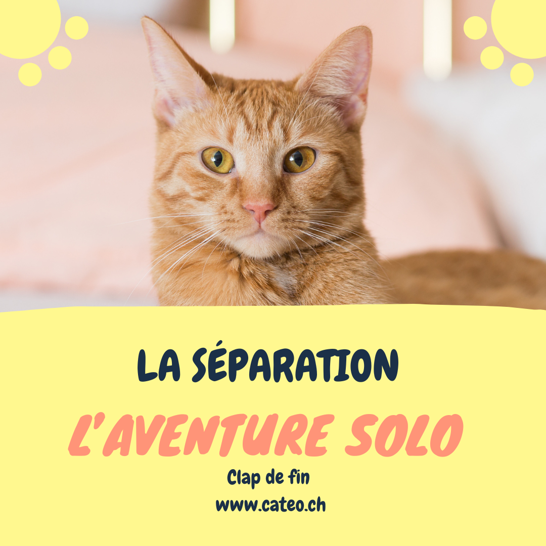 La séparation, l'aventure solo