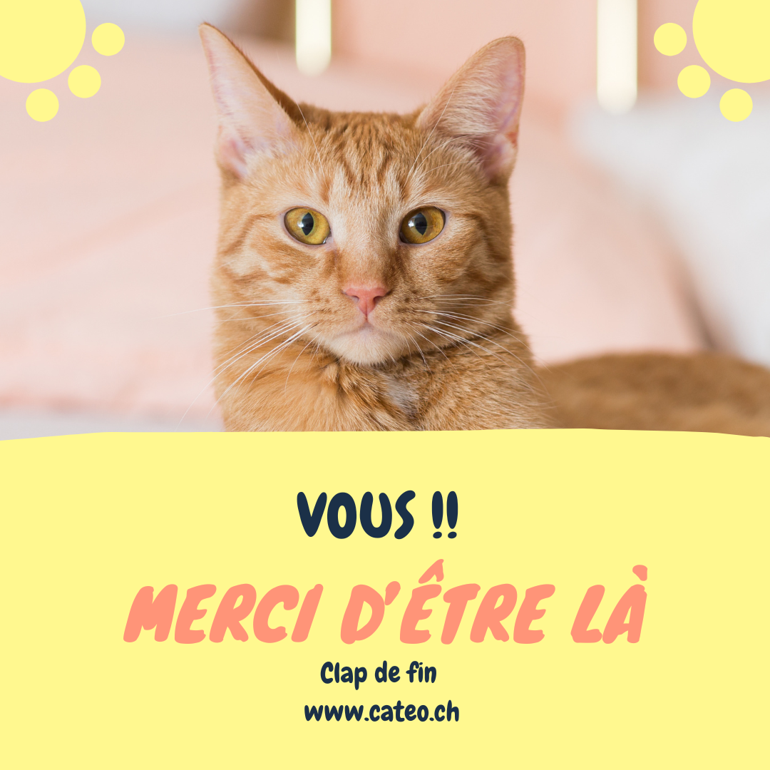 Vous !! Merci d'être là