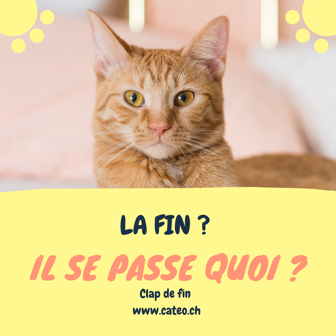 La fin ? Il se passe quoi ?