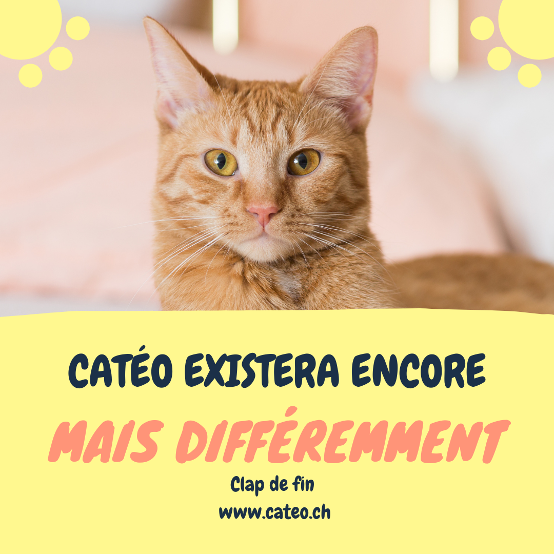 Catéo existera encore mais différemment