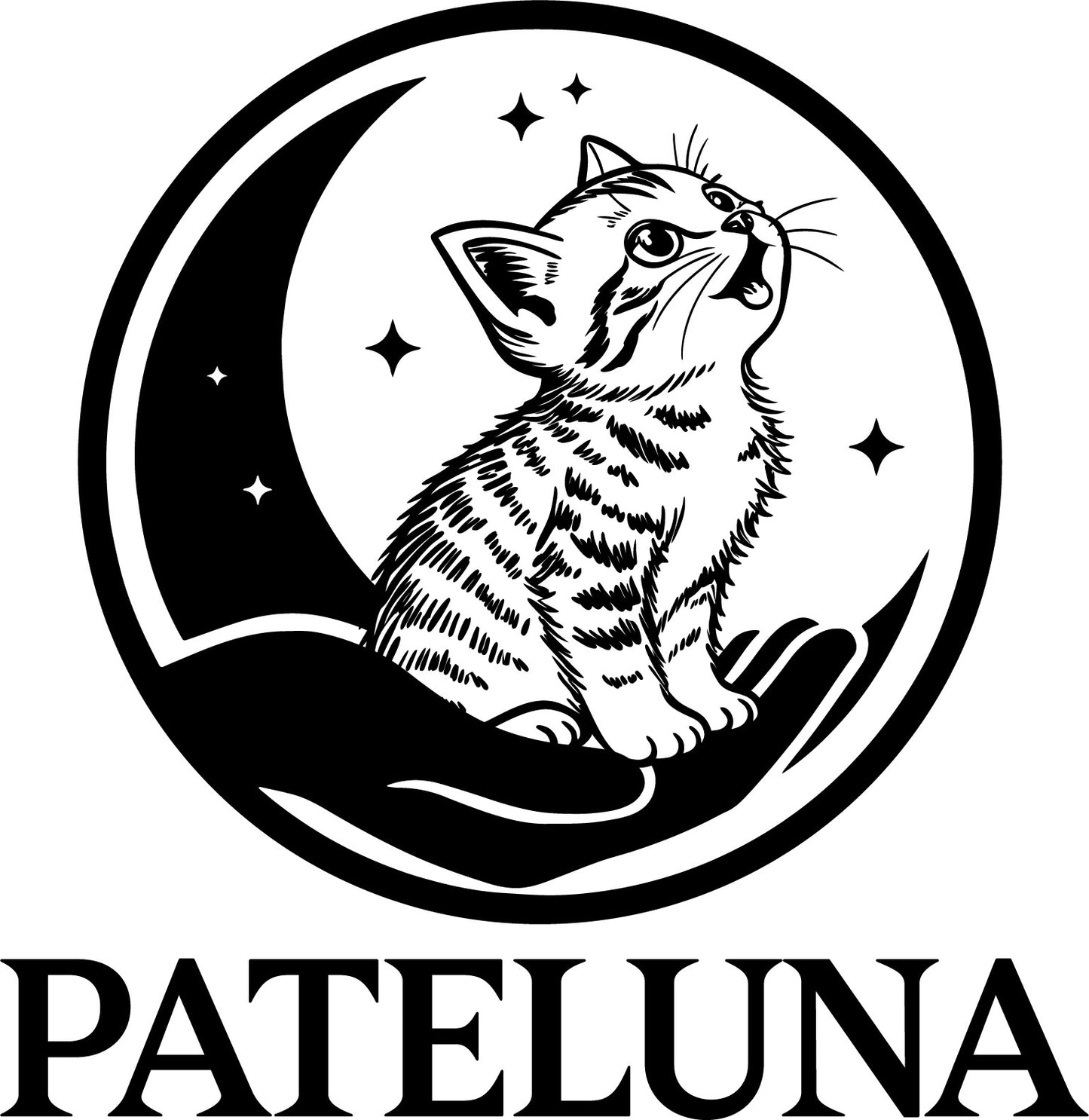 Box surprise Pateluna